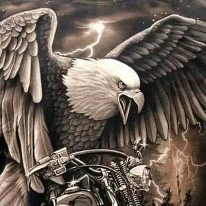 Meet your Posher, Philip